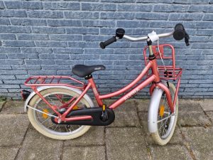 Alpina Cargo Meisjes 2021 – Roze